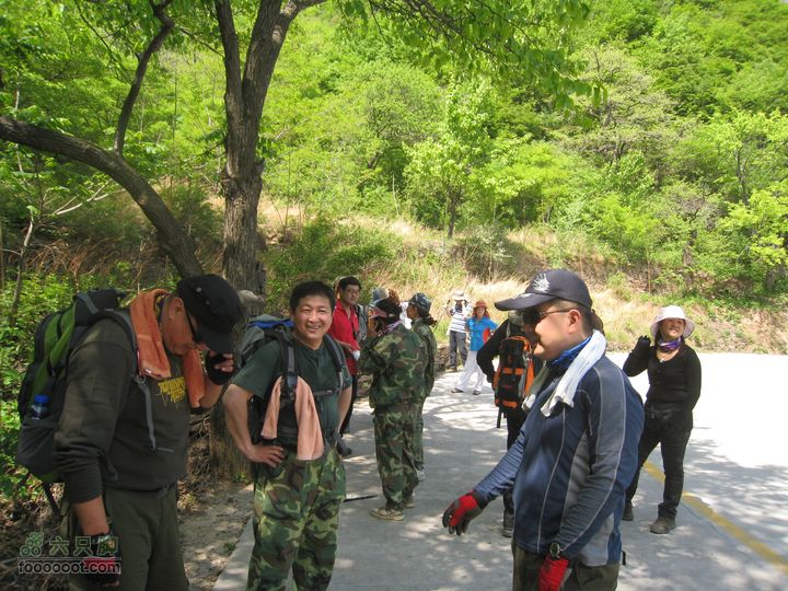 20110514林州艾蒿坪朝阳石板岩201105014艾蒿坪朝阳 067