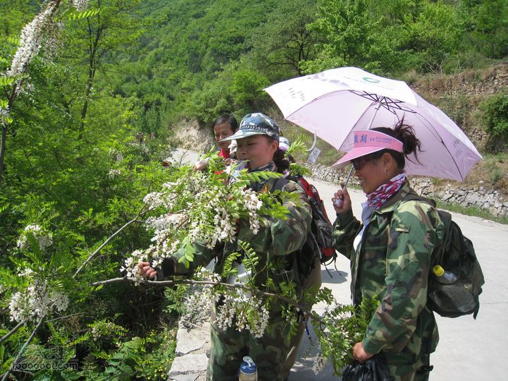 20110514林州艾蒿坪朝阳石板岩201105014艾蒿坪朝阳 089