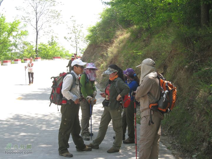 20110514林州艾蒿坪朝阳石板岩201105014艾蒿坪朝阳 068