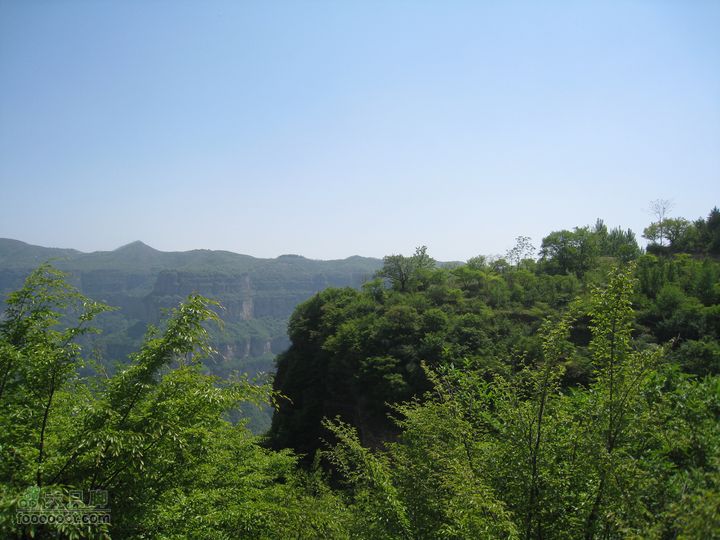 20110514林州艾蒿坪朝阳石板岩201105014艾蒿坪朝阳 079