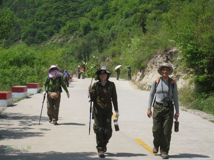 20110514林州艾蒿坪朝阳石板岩201105014艾蒿坪朝阳 105