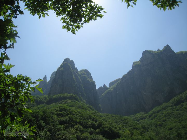 20110514林州艾蒿坪朝阳石板岩201105014艾蒿坪朝阳 148