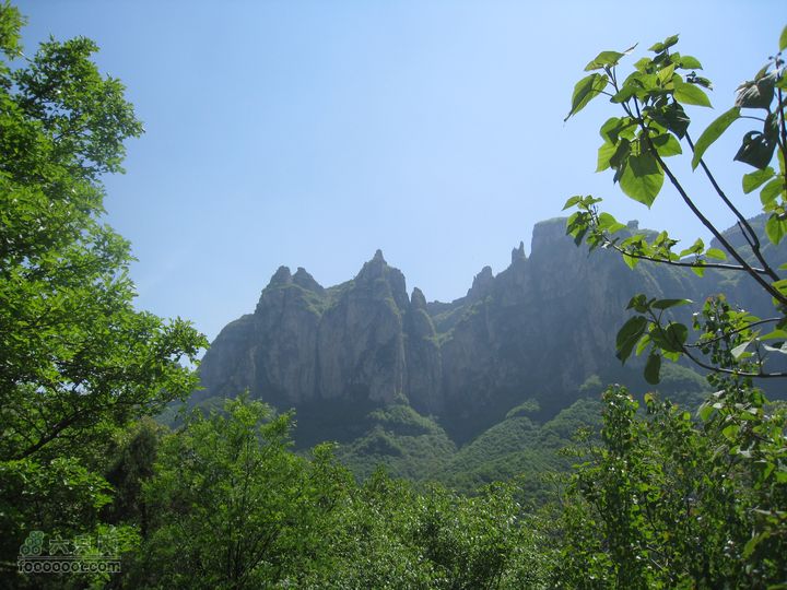 20110514林州艾蒿坪朝阳石板岩201105014艾蒿坪朝阳 189