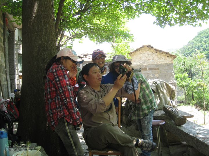 20110514林州艾蒿坪朝阳石板岩201105014艾蒿坪朝阳 152