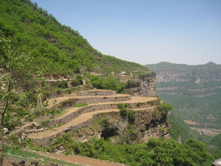 20110514林州艾蒿坪朝阳石板岩201105014艾蒿坪朝阳 183