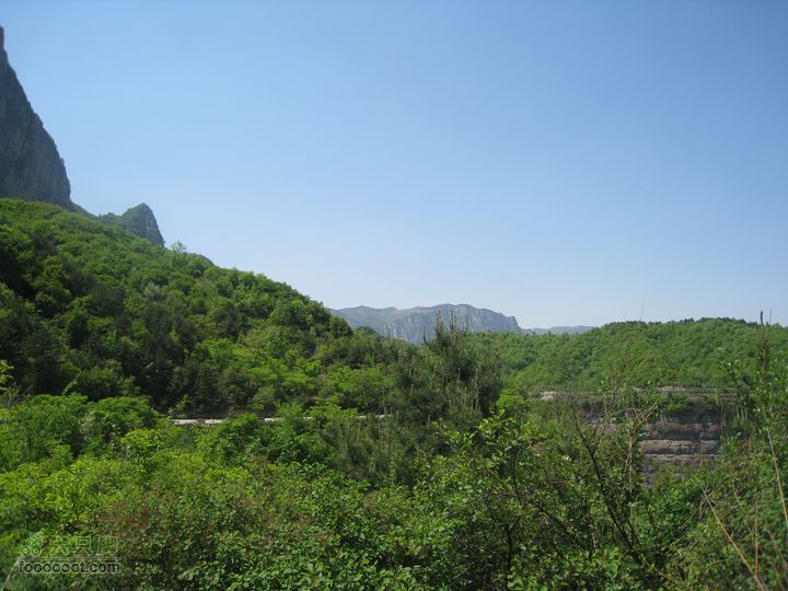 20110514林州艾蒿坪朝阳石板岩201105014艾蒿坪朝阳 210