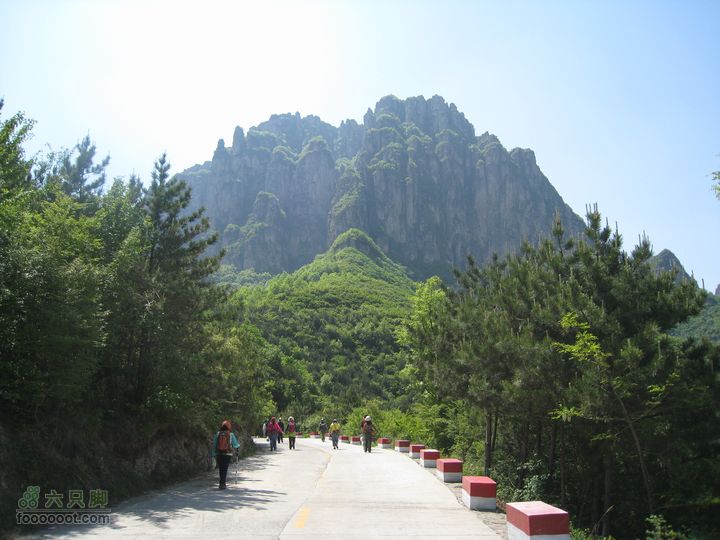20110514林州艾蒿坪朝阳石板岩201105014艾蒿坪朝阳 207