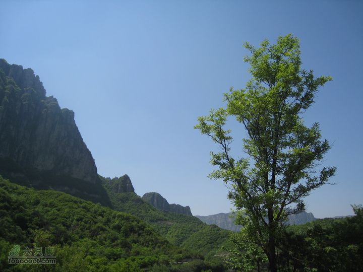 20110514林州艾蒿坪朝阳石板岩201105014艾蒿坪朝阳 208