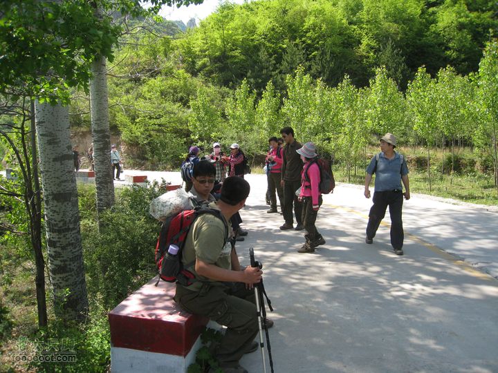 20110514林州艾蒿坪朝阳石板岩201105014艾蒿坪朝阳 222