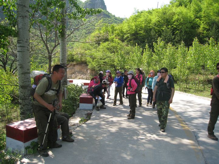 20110514林州艾蒿坪朝阳石板岩201105014艾蒿坪朝阳 223