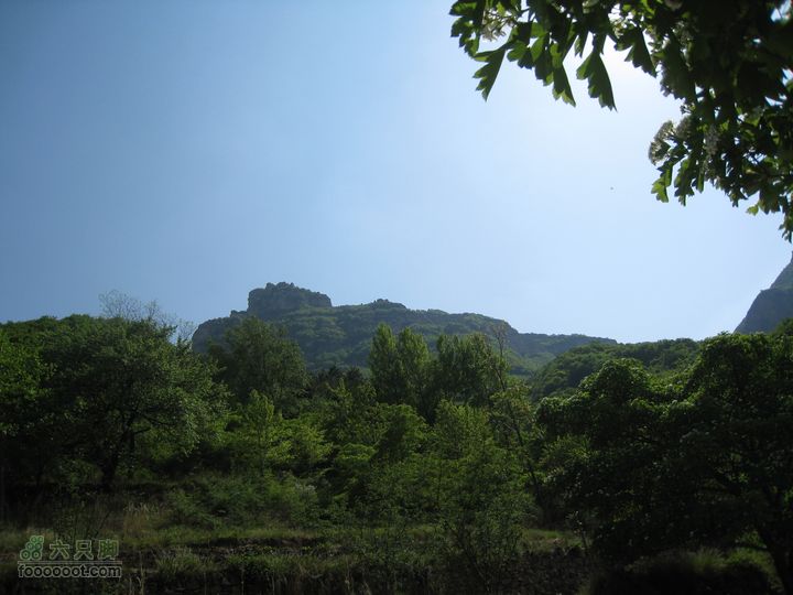 20110514林州艾蒿坪朝阳石板岩201105014艾蒿坪朝阳 263
