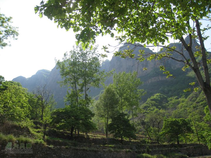 20110514林州艾蒿坪朝阳石板岩201105014艾蒿坪朝阳 265