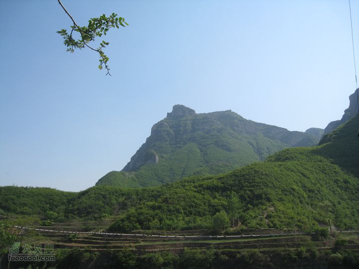 20110514林州艾蒿坪朝阳石板岩201105014艾蒿坪朝阳 283