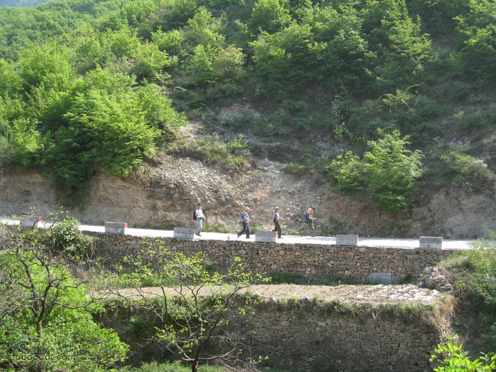 20110514林州艾蒿坪朝阳石板岩201105014艾蒿坪朝阳 275