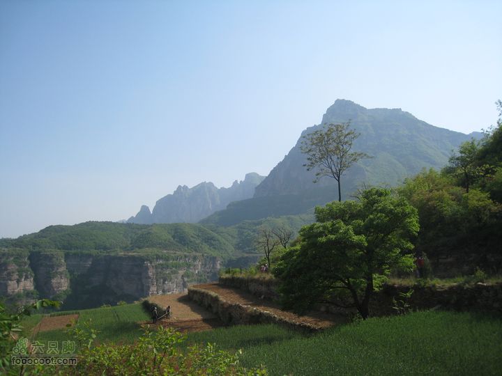 20110514林州艾蒿坪朝阳石板岩201105014艾蒿坪朝阳 296