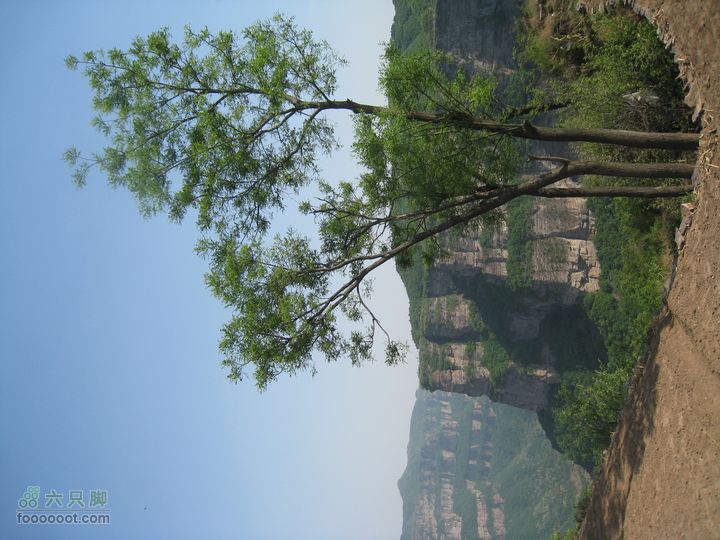 20110514林州艾蒿坪朝阳石板岩201105014艾蒿坪朝阳 293