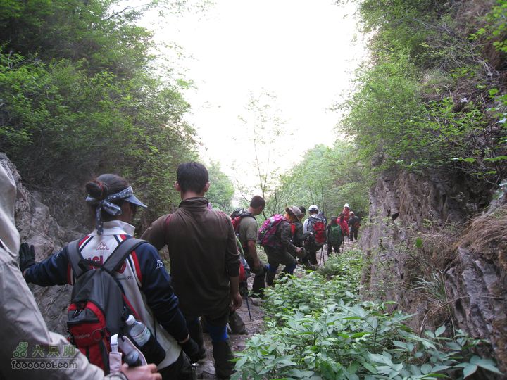20110514林州艾蒿坪朝阳石板岩201105014艾蒿坪朝阳 310