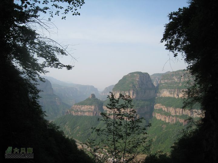 20110514林州艾蒿坪朝阳石板岩201105014艾蒿坪朝阳 312