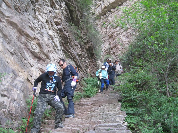20110514林州艾蒿坪朝阳石板岩201105014艾蒿坪朝阳 315