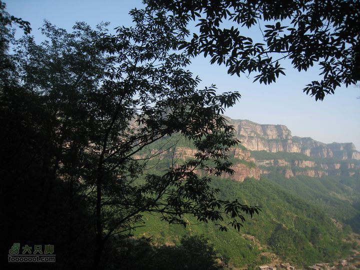 20110514林州艾蒿坪朝阳石板岩201105014艾蒿坪朝阳 342