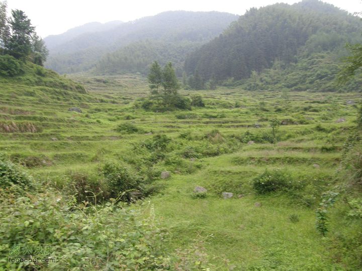 古庙南惹-洪江塘佳山P5142102
