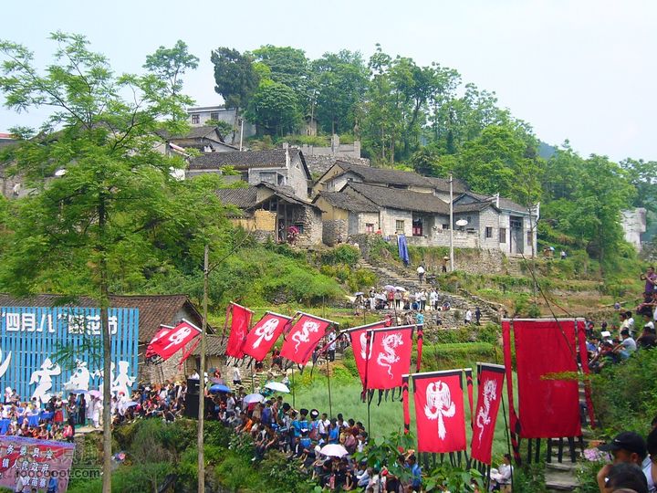 山江苗寨四月八跳花節Image00080