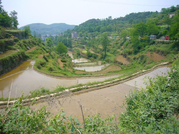 山江苗寨四月八跳花節Image00094