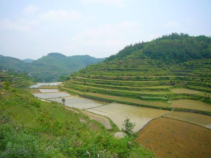 山江苗寨四月八跳花節Image00095