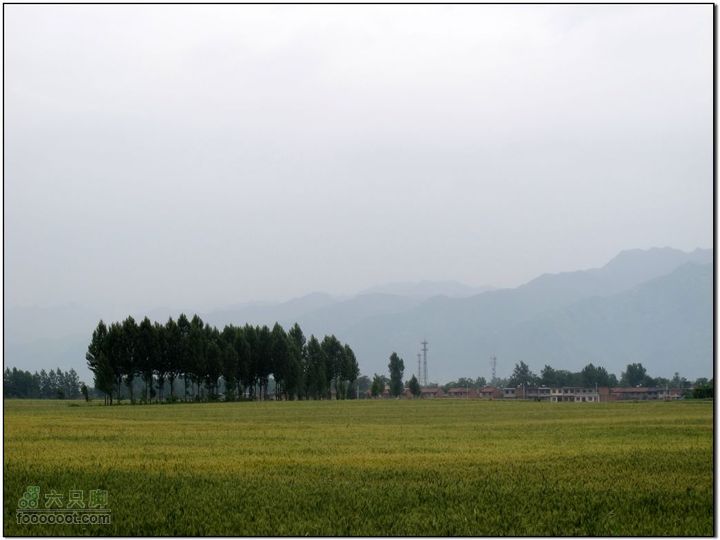 2011-5-21雨后骑行IMG_1557