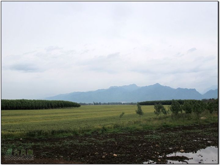 2011-5-21雨后骑行IMG_1560