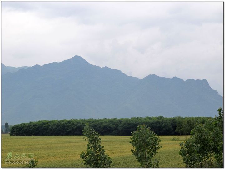 2011-5-21雨后骑行IMG_1564