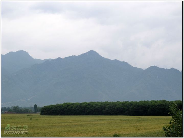 2011-5-21雨后骑行IMG_1565
