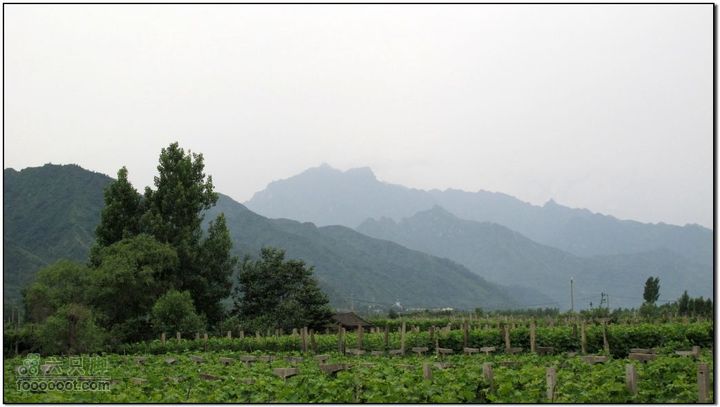 2011-5-21雨后骑行IMG_1579