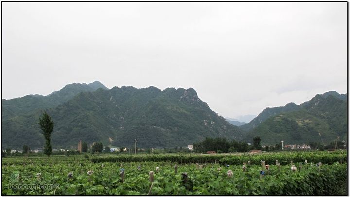 2011-5-21雨后骑行IMG_1580