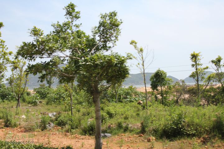 平潭进城沿途街景IMG_3577