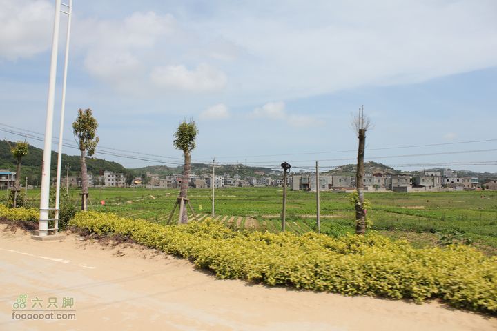 平潭进城沿途街景IMG_3593