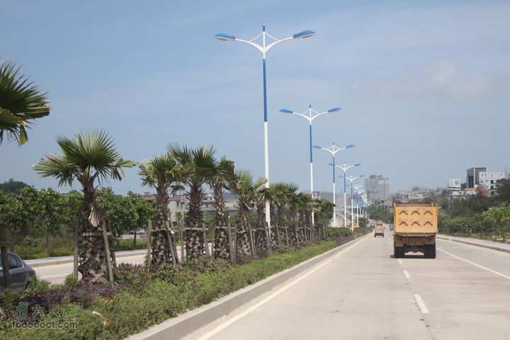 平潭进城沿途街景IMG_3608