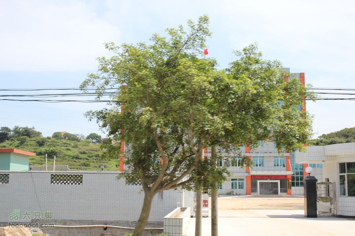 平潭进城沿途街景IMG_3614