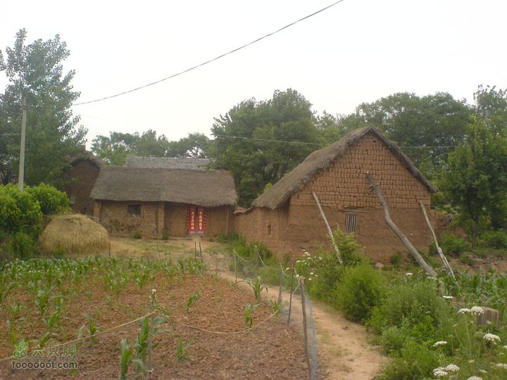 合肥市区—刘铭传故居、香草农庄一日游DSC01474