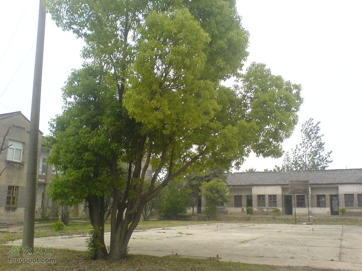 合肥市区—刘铭传故居、香草农庄一日游DSC01476