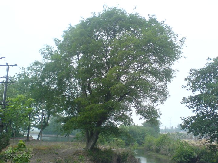 合肥市区—刘铭传故居、香草农庄一日游DSC01481