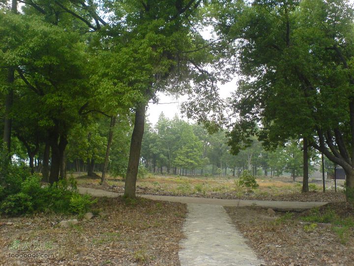 合肥市区—刘铭传故居、香草农庄一日游DSC01489