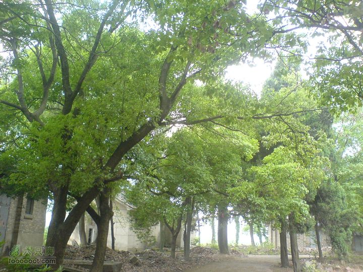 合肥市区—刘铭传故居、香草农庄一日游DSC01490