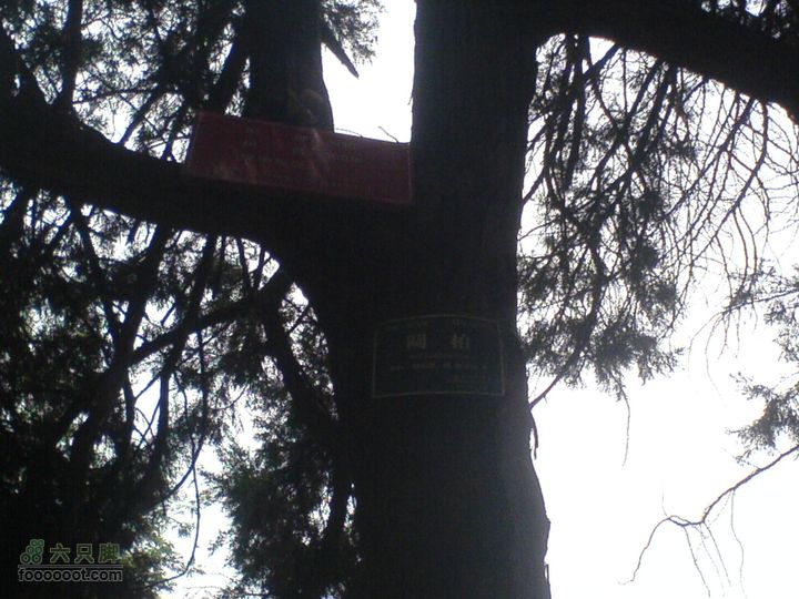 合肥市区—刘铭传故居、香草农庄一日游DSC01499