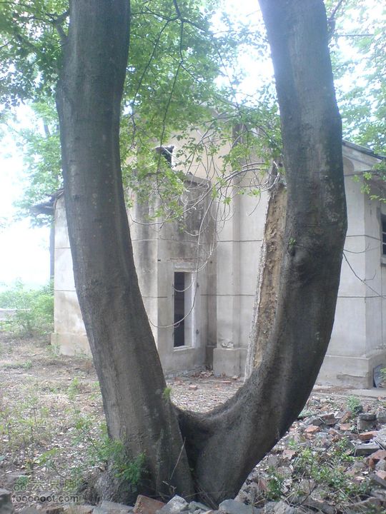 合肥市区—刘铭传故居、香草农庄一日游DSC01500