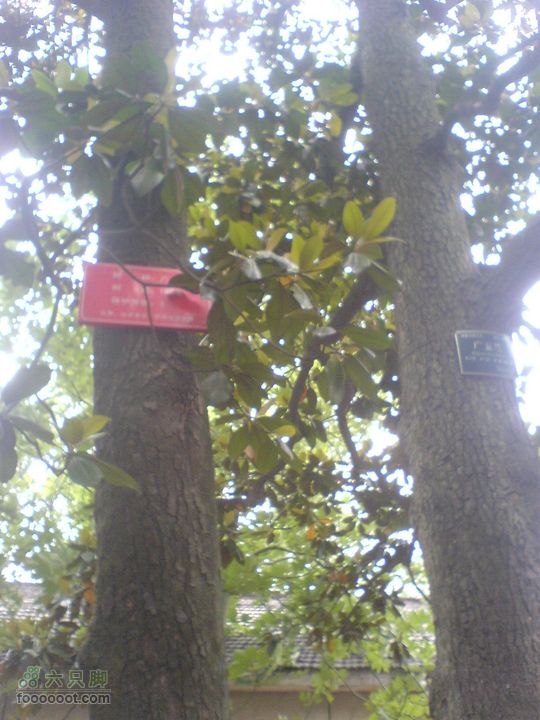 合肥市区—刘铭传故居、香草农庄一日游DSC01501