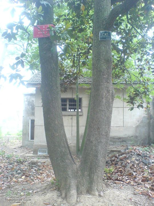 合肥市区—刘铭传故居、香草农庄一日游DSC01502