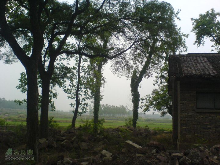 合肥市区—刘铭传故居、香草农庄一日游DSC01506