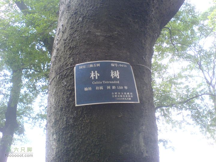 合肥市区—刘铭传故居、香草农庄一日游DSC01507