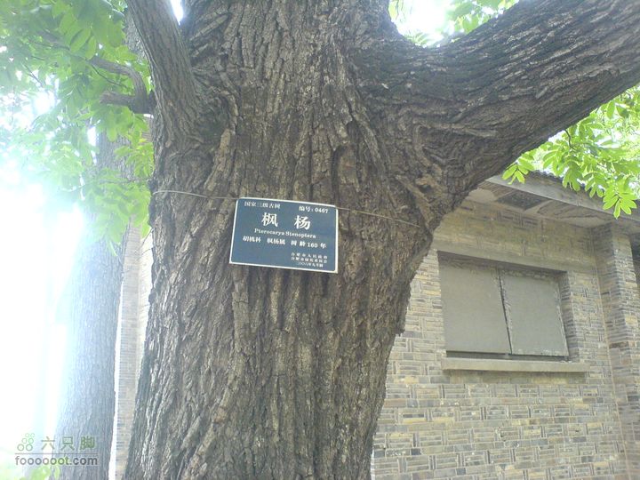 合肥市区—刘铭传故居、香草农庄一日游DSC01509